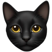 Gato negro sticker