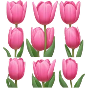 Pink tulips sticker