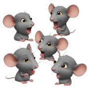 Rat gossip  sticker
