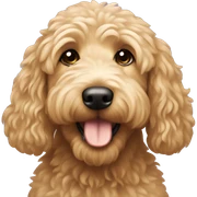 Goldendoodle sticker