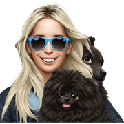 boy with sunglasses and pets sticker