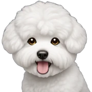 Bichon Frise sticker