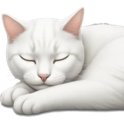White cat sleeping  sticker