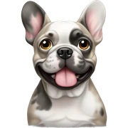 Merle Frenchie sticker