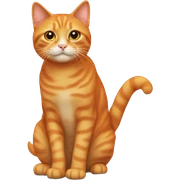 Orange cat sticker