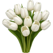 white tulip bouquet  sticker
