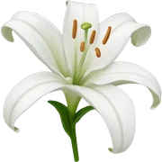 White lily  sticker