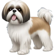 shih tzu sticker