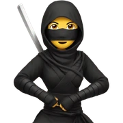 Women ninja sticker