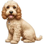 Red cockapoo and cream color cockapoo fully body  sticker