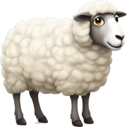 sheep sticker