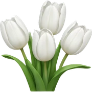 white tulips sticker
