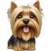 Yorkshire terrier with a haircut and a closed mouth sticker