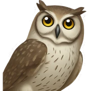 Owl sticker