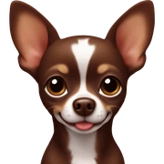 Chocolate brown chihuahua with heart sticker