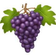 Grapes  sticker