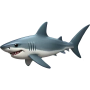 Shark with a butt sticker