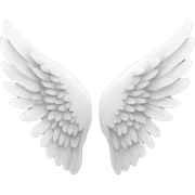 Angel wings  sticker