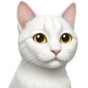 White cat sticker