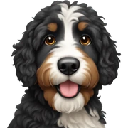 Bernedoodle sticker