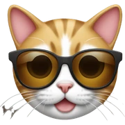Cat with sunglasses sticker