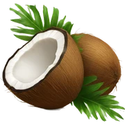 Coconut  sticker