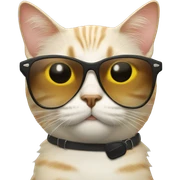 Cat with sunglasses sticker