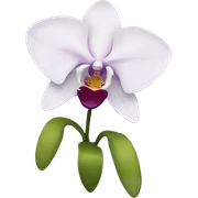 Orchid sticker