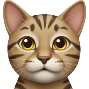 Tabby cat  sticker