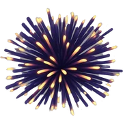 Fireworks sticker