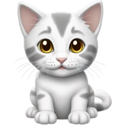 white and grey kitten sticker