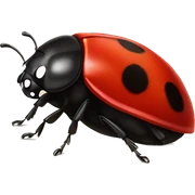 Ladybug sticker