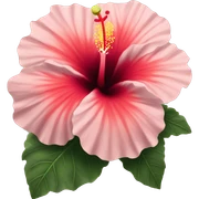 hibiscus sticker