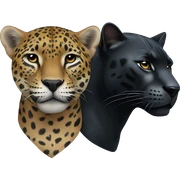jaguar and black panther sticker