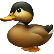 duck sticker