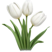 White tulips sticker