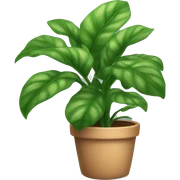 House plant  sticker