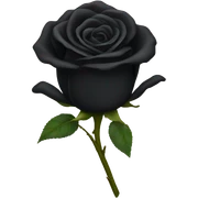 Black rose sticker