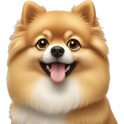 pomeranian sticker