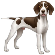 pointer sticker