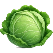 Cabbage sticker