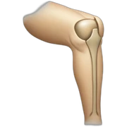 knee sticker