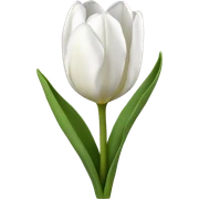 White tulips sticker