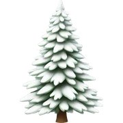  actual white fir christmas tree isolated.  sticker