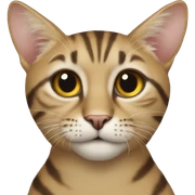 кот с соком sticker
