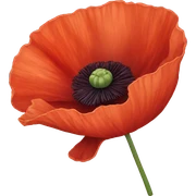 Poppy flower  sticker