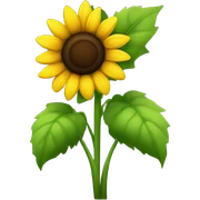 Sunflower sticker