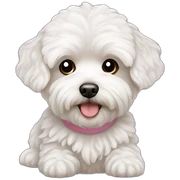 maltipoo sticker