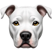 White and black pitbull sticker