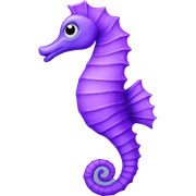 Purple seahorse  sticker